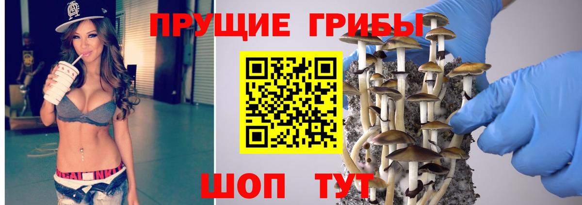 Галлюциногенные грибы мицелий  Вход с VPN  Великий Устюг 